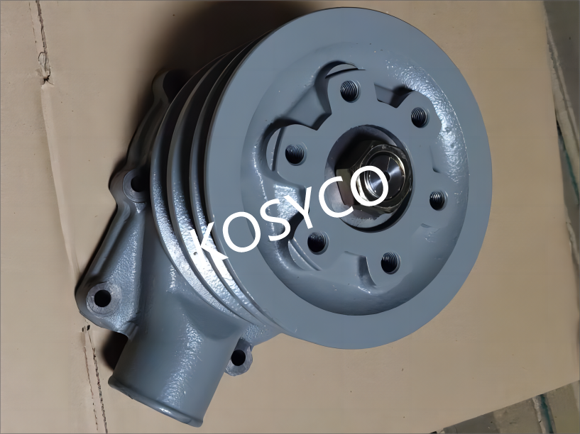 25100-93C00 Hyundai HCE WATER PUMP ASSY