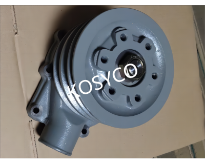 25100-93C00 Hyundai HCE WATER PUMP ASSY
